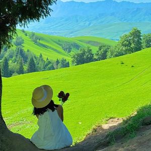 夏天进行曲（夏日专属BGM）