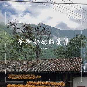 爷爷奶奶的爱情