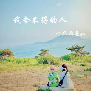 在我眼中 你是最好