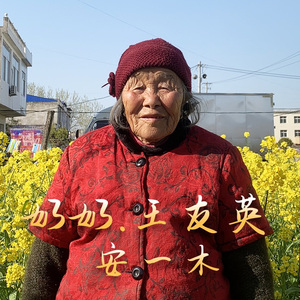 奶奶.王友英