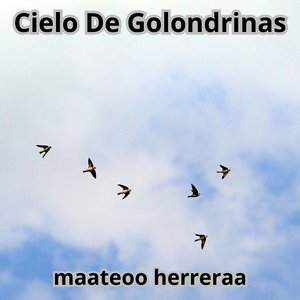 Cielo De Golondrinas