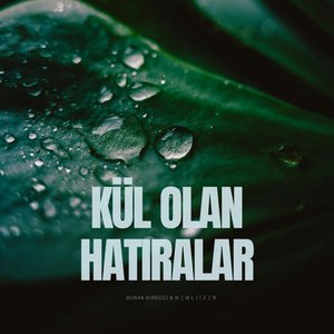Kül Olan Hatıralar