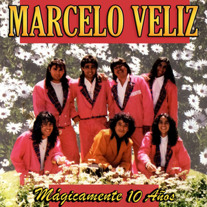 Guajira / Mi Campesina Parrandera / Colegiala del Amor / Linda, Tu Minifalda Me Hace Suspirar / Daniela