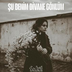 Şu Benim Divane Gönlüm