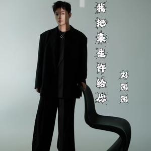 我把来生许给你