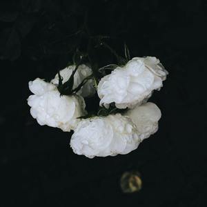 下雨 （cover:崔一乔）