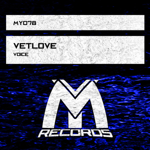 Voice (Original Mix)