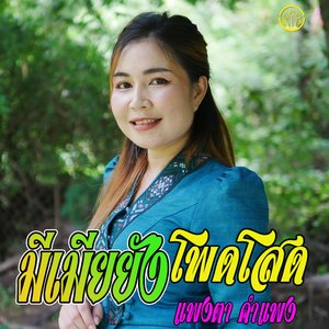 มีเมียยังโพดโสด-เต็มเพลง