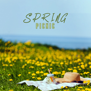 Never Stop Being a Dreamer