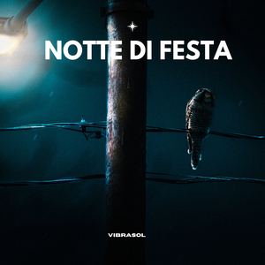 Notte di Festa