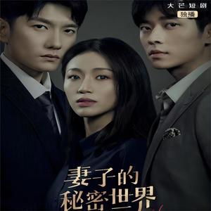 永夜火焰 (《妻子的秘密世界》网剧主题曲)