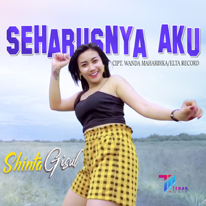 Seharusnya Aku