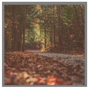 Revenge of Starter Raps 2 (feat. Allen Thomas)