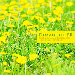 Brahms 8 Piano Pieces Op.76 - II. Capriccio. Allegretto Non Troppo