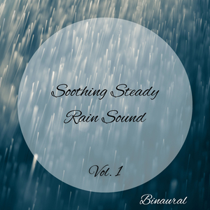 Forest Rain Thunderstorm Sleep Sound