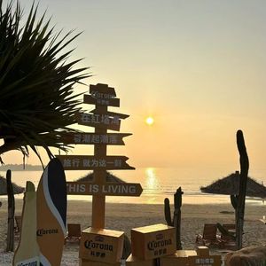 爱的温度与失落