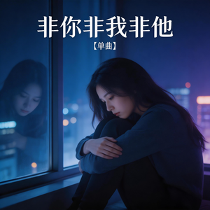 非你非我非他