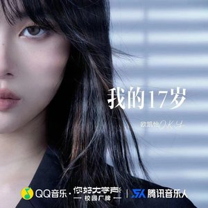 我的17岁