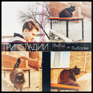 Бровь С Бородой