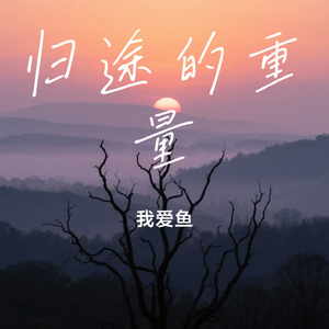 归途的重量