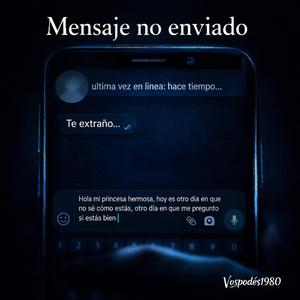 Mensaje no enviado