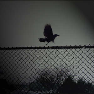 Shut Up-(Feat.Berner,Chris Brown)