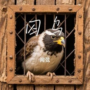 囚鸟 (Cover 大头针)