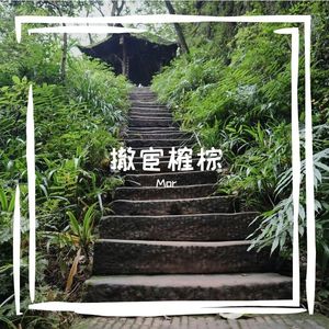 掣陨佳沸