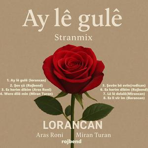 Were dile min (feat. Miran Turan)