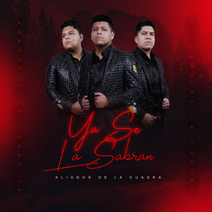 Ya Se La Sabran