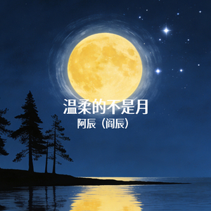 温柔的不是月