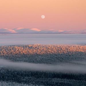 纯音乐（美丽的秋天）