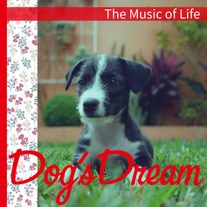 Your Words in My Head