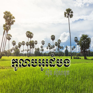 កូលាបអូរដំបង