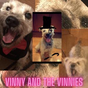 Vinny's So Fine