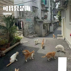 熠惘