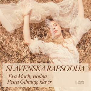 Četiri romantična komada za violinu i klavir, Op. 75: III. Allegro appassionato