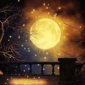 醉月（翻自 慕寒）