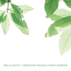 Música y Meditación