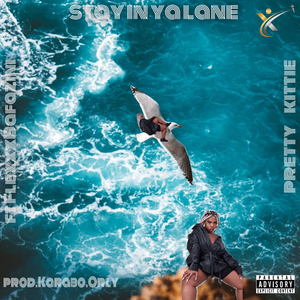 Stay in Ya Lane