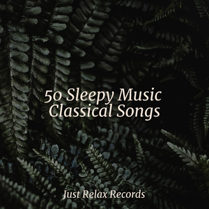 Echoes of a Solemn Storm