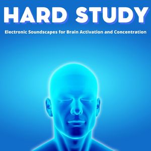 Electronic Soundscapes