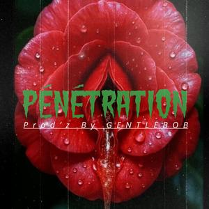 PÉNÉTRATION