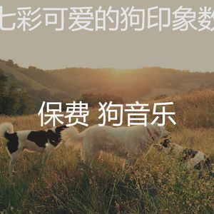 一尘不染可爱的狗印象数