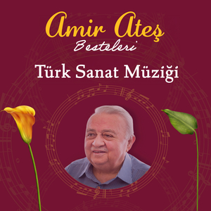 Bir Kızıl Goncaya Benzer Dudağın