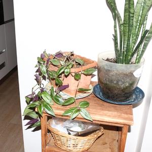 beni hiç anlamadılar