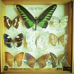 Butterflies of Malaysia