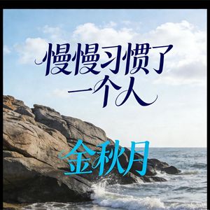 慢慢习惯了一个人