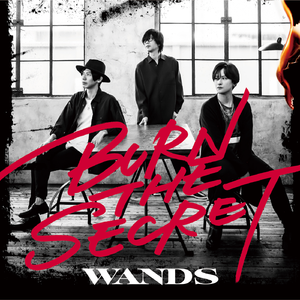 世界中の誰よりきっと [WANDS 第5期ver.]