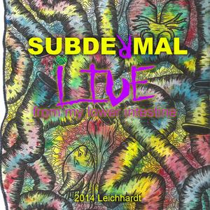 Nothing Going On (LIVE)